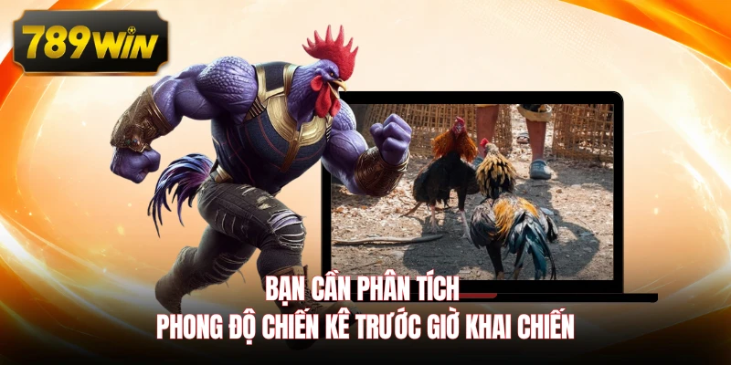 Bạn cần phân tích phong độ chiến kê trước giờ khai chiến