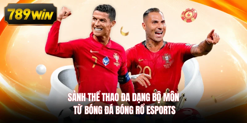 Sảnh thể thao đa dạng bộ môn từ bóng đá bóng rổ esports